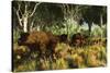 Diprotodon on the Edge of a Eucalyptus Forest with Some Early Kangaroos-null-Stretched Canvas