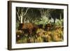 Diprotodon on the Edge of a Eucalyptus Forest with Some Early Kangaroos-null-Framed Photographic Print