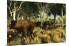 Diprotodon on the Edge of a Eucalyptus Forest with Some Early Kangaroos-null-Mounted Photographic Print