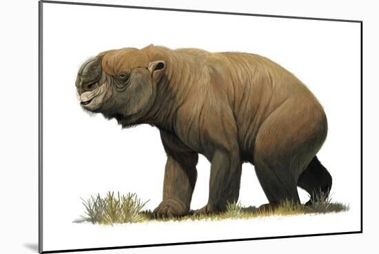 Diprotodon Optatum, the Largest known Marsupial-null-Mounted Art Print