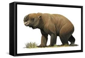 Diprotodon Optatum, the Largest known Marsupial-null-Framed Stretched Canvas