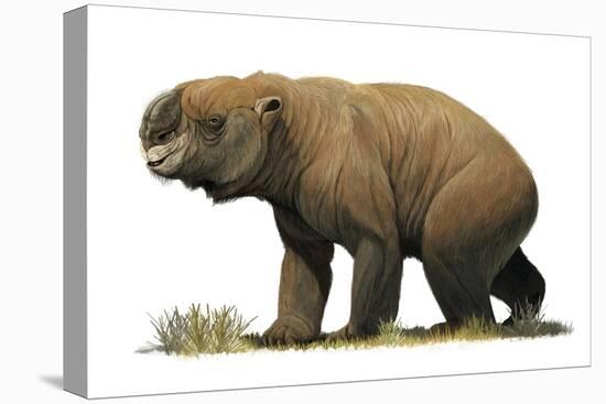 Diprotodon Optatum, the Largest known Marsupial-null-Stretched Canvas