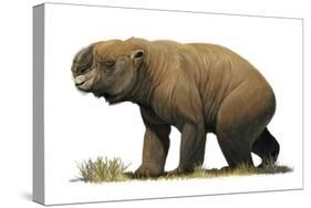Diprotodon Optatum, the Largest known Marsupial-null-Stretched Canvas