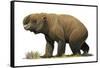 Diprotodon Optatum, the Largest known Marsupial-null-Framed Stretched Canvas