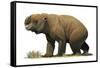 Diprotodon Optatum, the Largest known Marsupial-null-Framed Stretched Canvas