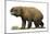 Diprotodon Optatum, the Largest known Marsupial-null-Mounted Premium Giclee Print