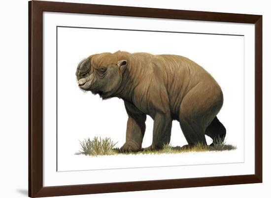 Diprotodon Optatum, the Largest known Marsupial-null-Framed Art Print