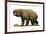 Diprotodon Optatum, the Largest known Marsupial-null-Framed Art Print