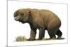 Diprotodon Optatum, the Largest known Marsupial-null-Mounted Art Print