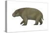 Diprotodon, the Largest Know Marsupial-null-Stretched Canvas