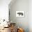 Diprotodon, the Largest Know Marsupial-null-Art Print displayed on a wall
