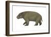 Diprotodon, the Largest Know Marsupial-null-Framed Art Print