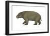 Diprotodon, the Largest Know Marsupial-null-Framed Art Print