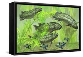 Dipterus Is an Extinct Freshwater Lungfish from the Devonian Period-null-Framed Stretched Canvas