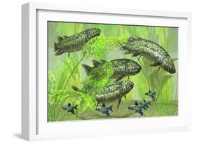 Dipterus Is an Extinct Freshwater Lungfish from the Devonian Period-null-Framed Art Print