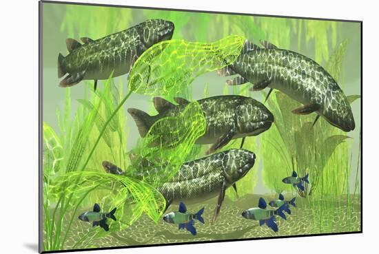 Dipterus Is an Extinct Freshwater Lungfish from the Devonian Period-null-Mounted Art Print