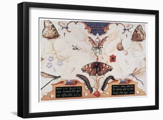 Diptych with Flowers and Insects, 1591-Joris Hoefnagel-Framed Giclee Print