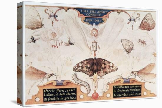 Diptych with Flowers and Insects, 1591-Joris Hoefnagel-Stretched Canvas