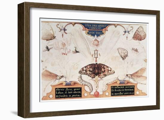 Diptych with Flowers and Insects, 1591-Joris Hoefnagel-Framed Giclee Print