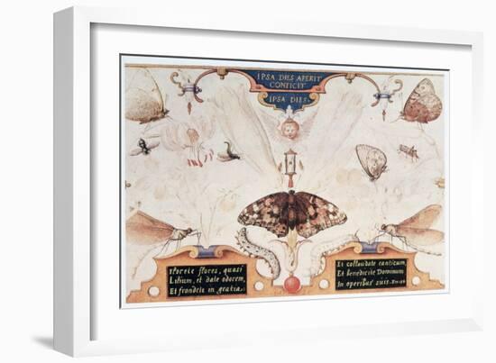 Diptych with Flowers and Insects, 1591-Joris Hoefnagel-Framed Giclee Print