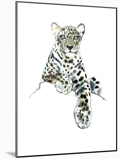 Direct (Arabian Leopard), 2015-Mark Adlington-Mounted Giclee Print