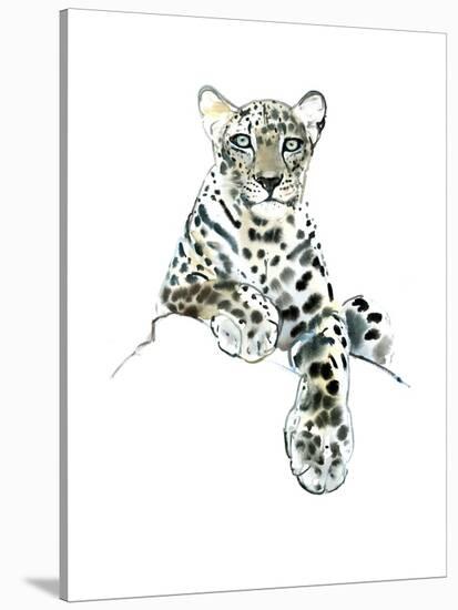 Direct (Arabian Leopard), 2015-Mark Adlington-Stretched Canvas