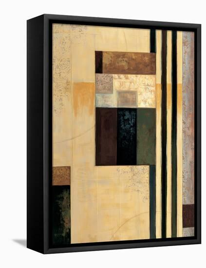 Direct II-Paul Sanderson-Framed Stretched Canvas