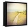 Direction-Amy Melious-Framed Stretched Canvas