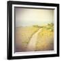 Direction-Amy Melious-Framed Art Print