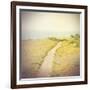 Direction-Amy Melious-Framed Art Print