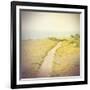 Direction-Amy Melious-Framed Art Print