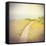 Direction-Amy Melious-Framed Stretched Canvas