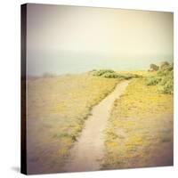 Direction-Amy Melious-Stretched Canvas