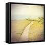 Direction-Amy Melious-Framed Stretched Canvas