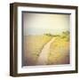 Direction-Amy Melious-Framed Art Print