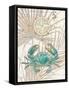 Directional Crab-Chad Barrett-Framed Stretched Canvas