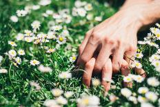 Lovers Holding Hands on Spring Flowers Field-Dirima-Photographic Print