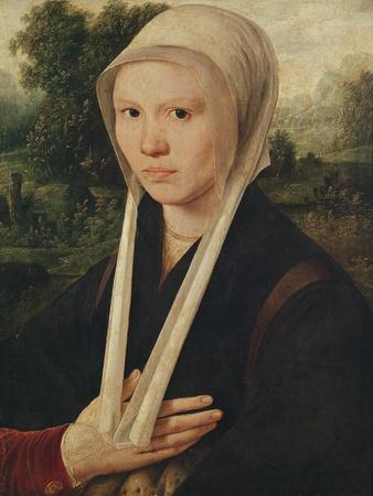 Portrait of a Young Woman, C.1530