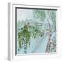 White Frame