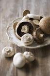 Chestnut Mushrooms and White Button Mushrooms-Dirk Pieters-Photographic Print
