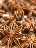 Star Anise-Dirk Pieters-Photographic Print