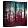Stretched Canvas
