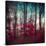 Stretched Canvas