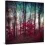 Stretched Canvas