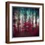 Brown Frame