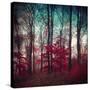 Stretched Canvas