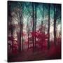 Stretched Canvas