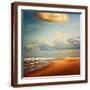 Brown Frame