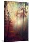 Stretched Canvas