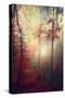 Stretched Canvas